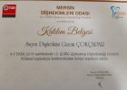 Dt. Gizem Çokçapar Diş Hekimi sertifikası