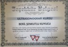 Op. Dr. Beril Şenkutlu Kuyucu Kadın Hastalıkları ve Doğum sertifikası