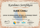 Psk. Sude Canlı Psikoloji sertifikası
