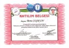Doç. Dr. Bora Coskun Kadın Hastalıkları ve Doğum sertifikası