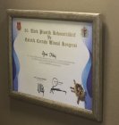 Op. Dr. Oğuz Kılıç Plastik Rekonstrüktif ve Estetik Cerrahi sertifikası
