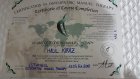 Fzt. Halil Kiraz Fizyoterapi sertifikası