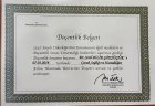 Doç. Dr. Sevil Bilir Çocuk Sağlığı ve Hastalıkları sertifikası