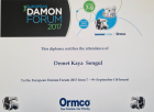 Uzm. Dt. Demet Kaya Şengül Diş Hekimi sertifikası