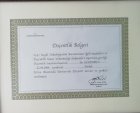 Prof. Dr. Ali Güneş Üroloji sertifikası