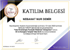 Dil ve Konuşma Terapisti Nebahat Nur Demir Dil Konuşma Bozuklukları sertifikası