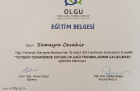 Psk. Sümeyra Cevahir Psikoloji sertifikası