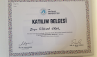 Uzm. Psk. Füsun Uysal Psikoloji sertifikası