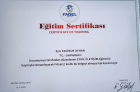 Psk. Ezginur Ayhan Psikoloji sertifikası