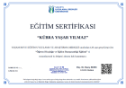 Dr. Psk. Dan. Kübra Yaşar Yılmaz Psikolojik Danışman sertifikası