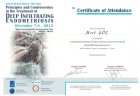 Prof. Dr. Mert Göl Kadın Hastalıkları ve Doğum sertifikası