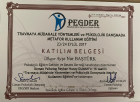 Psk. Dan. Ayşenur Baştürk Taş Psikolojik Danışman sertifikası