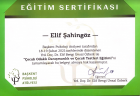 Aile Danışmanı Elif Kaya Şahingöz Çocuk Gelişim Uzmanı sertifikası