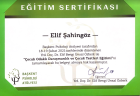 Aile Danışmanı Elif Kaya Şahingöz Çocuk Gelişim Uzmanı sertifikası
