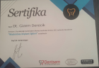 Dt. Gizem Derecik Diş Hekimi sertifikası