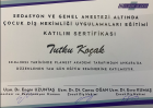 Uzm. Dt. Tutku Koçak Şahin Pedodonti (Çocuk Diş Hekimliği) sertifikası