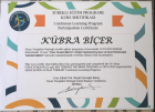 Klinik Psikolog  Kübra Biçer Gürel Klinik Psikolog sertifikası