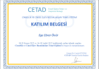 Uzm. Kl. Psk. Ege Ebrar Önür Psikoloji sertifikası