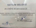 Dt. Emine Büşra Keklik Diş Hekimi sertifikası