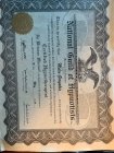 Uzm. Kl. Psk. Melis Göryakın Psikoloji sertifikası