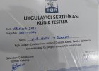 Psk. Elif Melisa Türkmen Psikoloji sertifikası
