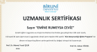 Psk. Dan. Rumeysa Ceviz Psikolojik Danışman sertifikası