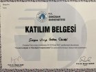 Psk. Gülçe Çelebi Psikoloji sertifikası