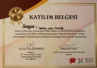 Psk. Mehlika Nida Yılmaz Psikoloji sertifikası