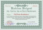 Psk. Dan. Elif İrem Kunduracı Psikolojik Danışman sertifikası
