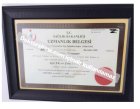 Prof. Dr. Mübin Hoşnuter Plastik Rekonstrüktif ve Estetik Cerrahi sertifikası