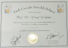 Prof. Dr. Yusuf Yağmur Genel Cerrahi sertifikası