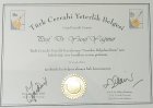 Prof. Dr. Yusuf Yağmur Genel Cerrahi sertifikası