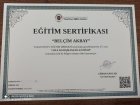 Psk. Belçim Akbay Psikoloji sertifikası