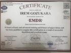 Psk. İrem Gözükara Psikoloji sertifikası