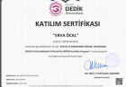 Psk. Erva Öcal Psikoloji sertifikası
