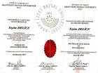 Uzm. Psk. Yeşim Delice Psikoloji sertifikası