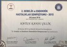 Doç. Dr. Hatice Çelik Kadın Hastalıkları ve Doğum sertifikası