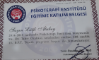 Klinik Psikolog  Lütfi Atabey Psikoloji sertifikası