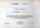 Psk. Dan. Hava Çubuk Psikoloji sertifikası