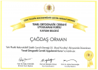 Op. Dr. Çağdaş Orman Plastik Rekonstrüktif ve Estetik Cerrahi sertifikası