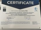 Uzm. Pedagog Sara Catarina Pires Psikoloji sertifikası