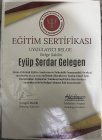 Psk. Eyüp Serdar Gelegen Psikoloji sertifikası