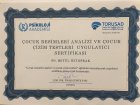 Psk. Dan. Betül Öztoprak Altunay Psikoloji sertifikası
