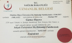 Uzm. Dt. Gamze Hayırcı Diş Hekimi sertifikası