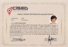 Op. Dr. Aynur Şendemir Kadın Hastalıkları ve Doğum sertifikası