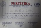 Op. Dr. Ali Ekber Şahin Kadın Hastalıkları ve Doğum sertifikası