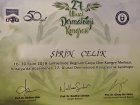 Uzm. Dr. Şirin Çelik Dermatoloji sertifikası