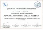 Doç. Dr. Aydın Erdemir Çocuk Sağlığı ve Hastalıkları sertifikası