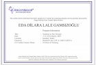 Klinik Psikolog  Eda Dilara Lale Gamsızoğlu Psikoloji sertifikası