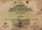 Op. Dr. İrem Güler Özgür Kadın Hastalıkları ve Doğum sertifikası